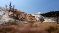 Yellowstone NP - Springs